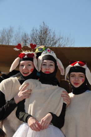fasching gsf fasching gsf
