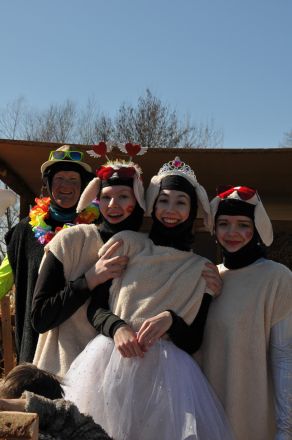fasching gsf fasching gsf