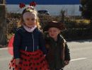 fasching gsf
