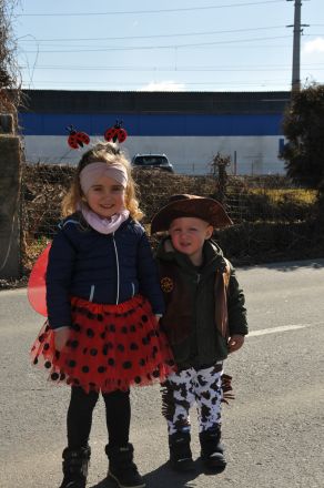 fasching gsf fasching gsf