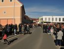 fasching gsf