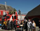 fasching gsf