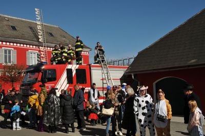 fasching gsf fasching gsf