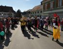 fasching gsf