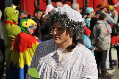 fasching gsf fasching gsf