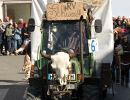 fasching gsf
