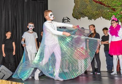 nms eibiswald musical12 nms eibiswald musical12