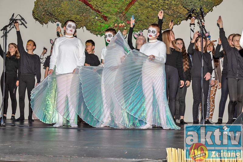 nms eibiswald musical15 nms eibiswald musical15