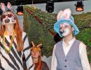 nms eibiswald musical16