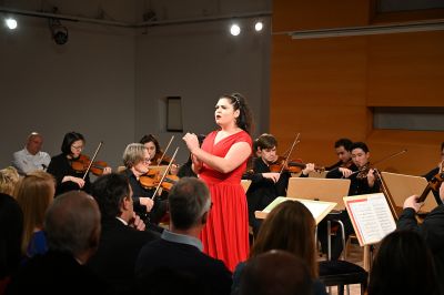neujahrskonzert neujahrskonzert