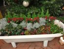 advent prauser16