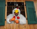fasching st nikolai