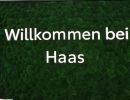 haas toyota